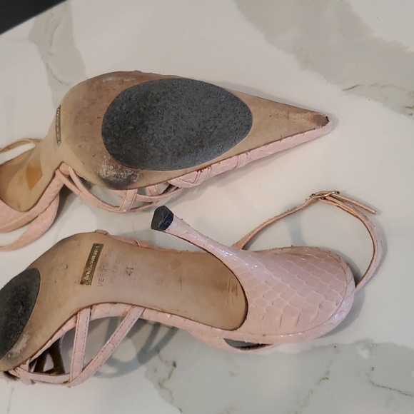 Dolce & Gabbana lizard hills - Picture 5 of 11